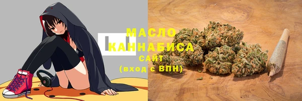 гидра Переславль-Залесский