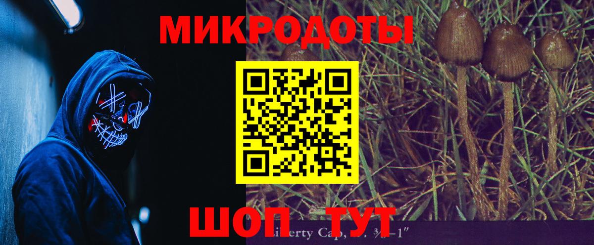 Псилоцибиновые грибы прущие грибы Переславль-Залесский